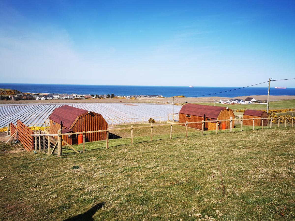 ホテルGowanview Glamping バンフ エクステリア 写真
